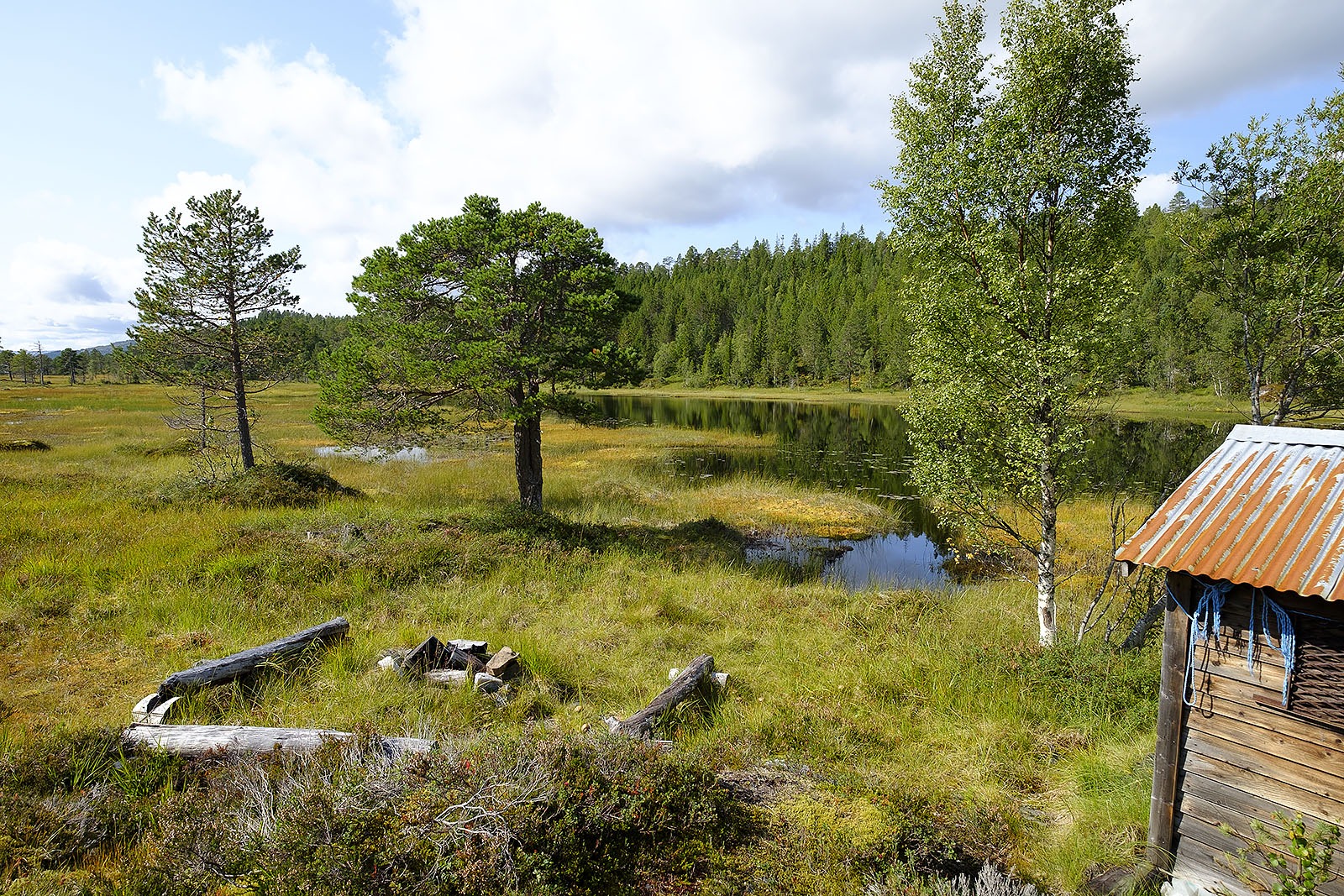 Sensommertur til Lomtjønna ved Rabbora