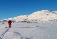Minne fra Vidmyrene høsten 2002